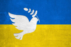 Friedenstaube vor dem Hintergrund der Farben der Ukraine