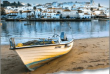 Cover Ausschnitt portugiesische Kleinstadt im Hintergrund, Boot im Vordergrund