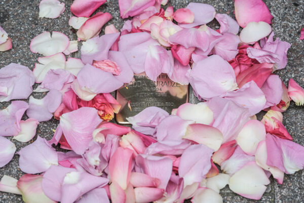 Stolperstein Hedda Guradze , umgeben von Rosenblättern
